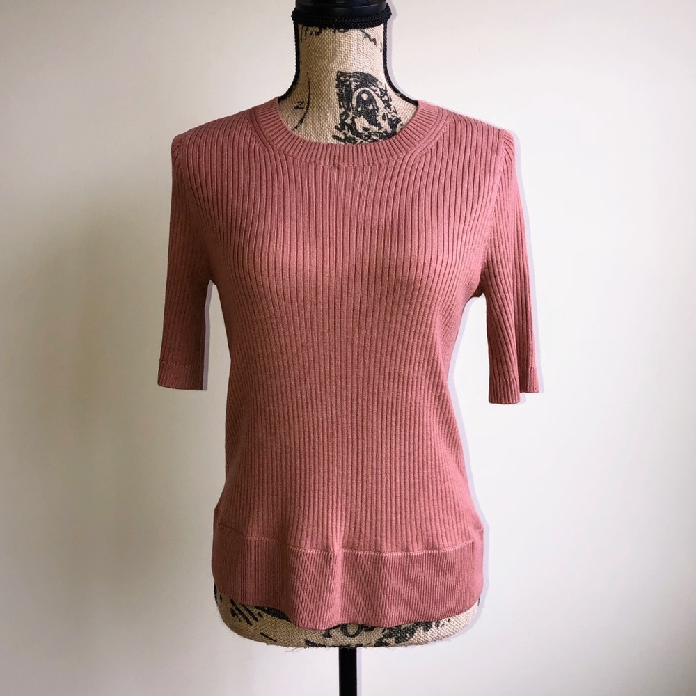 Ann Taylor Merino Wool Short Sleeve Sweater